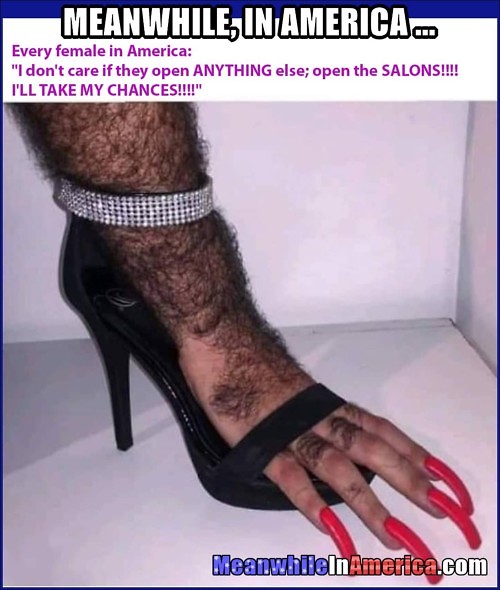 OMFG Open the Salons!   Meanwhile In America Open Salons 500x590